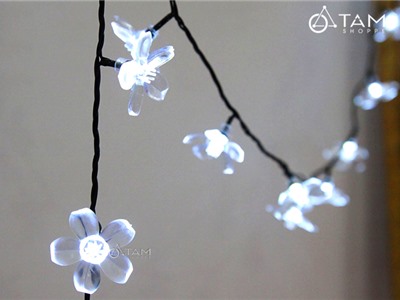 Dây đèn led Hoa mai trắng